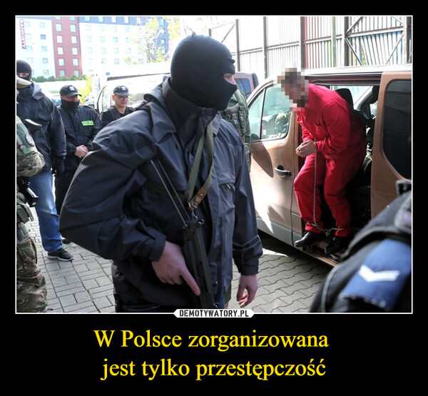 W Polsce zorganizowana 
jest tylko przestępczość