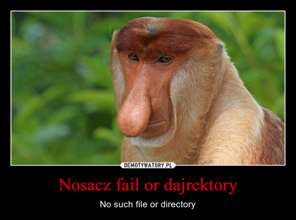 Nosacz fail or dajrektory – No such file or directory 
