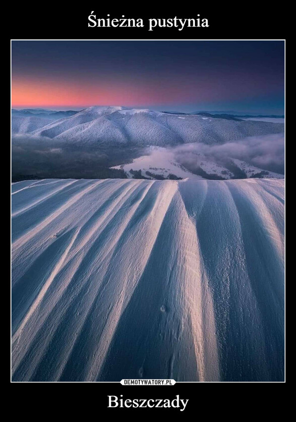 Śnieżna pustynia Bieszczady