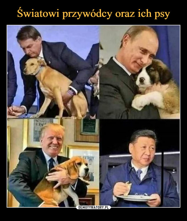 Światowi przywódcy oraz ich psy