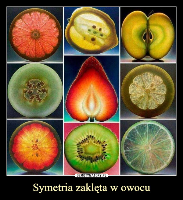 Symetria zaklęta w owocu –  