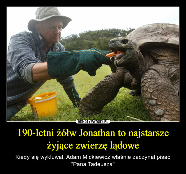 190-letni żółw Jonathan to najstarsze żyjące zwierzę lądowe