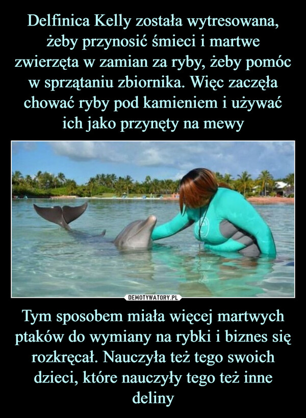 Tym sposobem miała więcej martwych ptaków do wymiany na rybki i biznes się rozkręcał. Nauczyła też tego swoich dzieci, które nauczyły tego też inne deliny –  