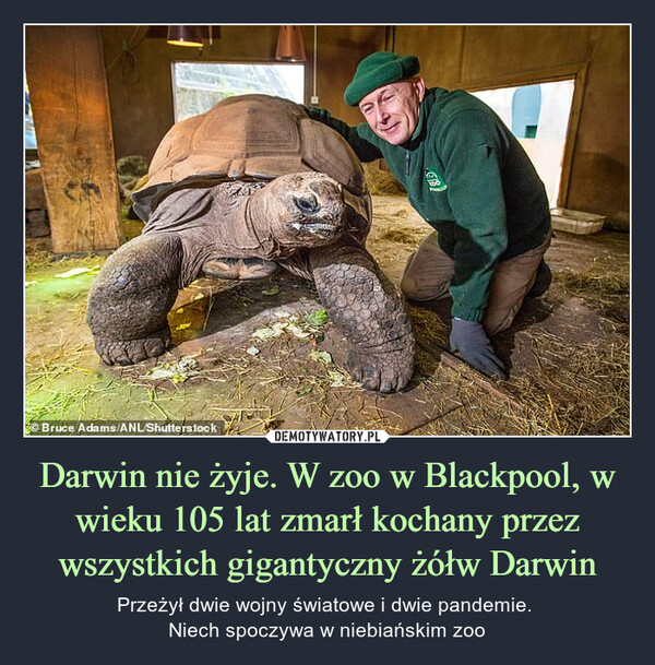 Darwin nie żyje. W zoo w Blackpool, w wieku 105 lat zmarł kochany przez wszystkich gigantyczny żółw Darwin