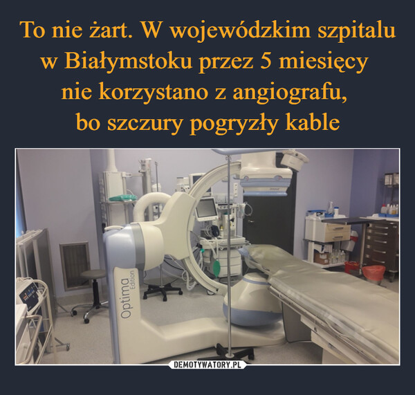 To nie żart. W wojewódzkim szpitalu w Białymstoku przez 5 miesięcy 
nie korzystano z angiografu, 
bo szczury pogryzły kable