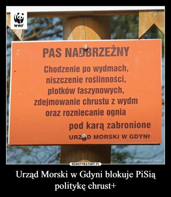 Urząd Morski w Gdyni blokuje PiSią politykę chrust+ –  