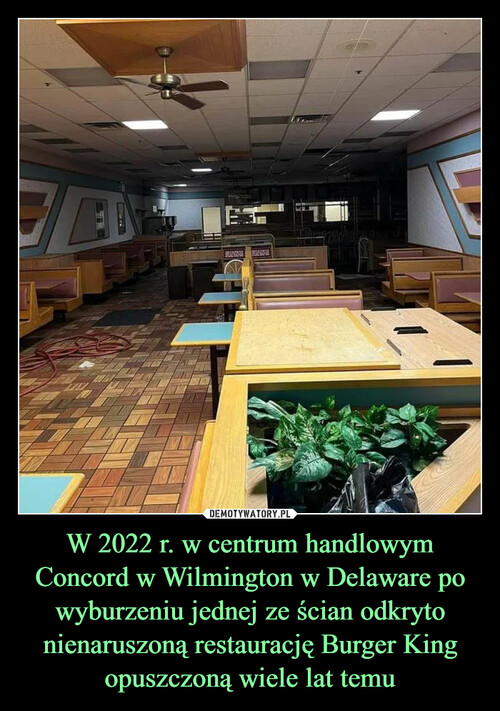 W 2022 r. w centrum handlowym Concord w Wilmington w Delaware po wyburzeniu jednej ze ścian odkryto nienaruszoną restaurację Burger King opuszczoną wiele lat temu