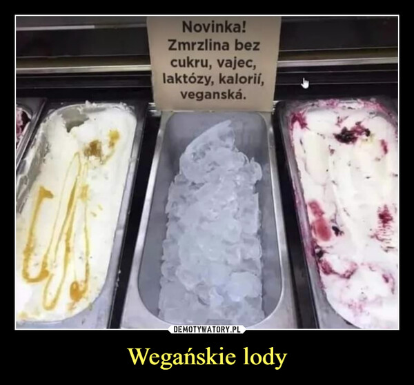 Wegańskie lody –  Novinka!