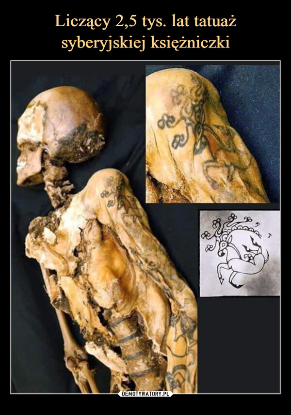 Liczący 2,5 tys. lat tatuaż syberyjskiej księżniczki