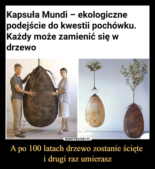 A po 100 latach drzewo zostanie ścięte i drugi raz umierasz –  Kapsuła Mundi - ekologicznepodejście do kwestii pochówku.Każdy może zamienić się wdrzewo