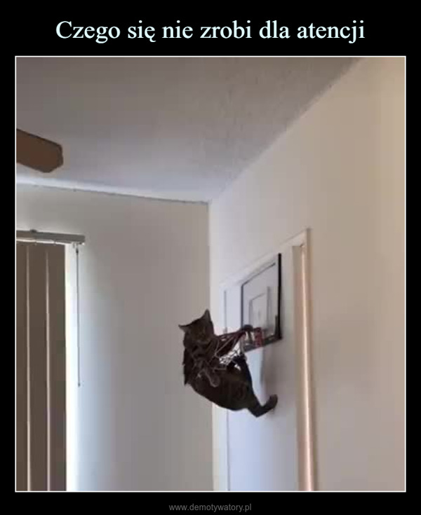  –  