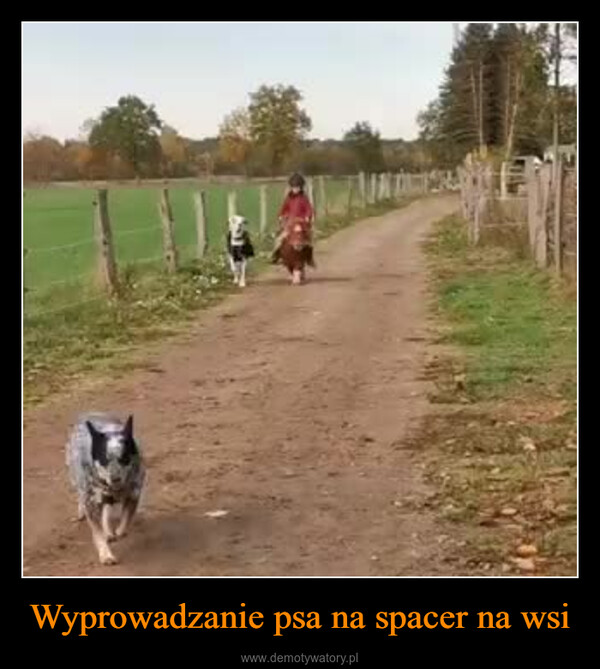 Wyprowadzanie psa na spacer na wsi –  