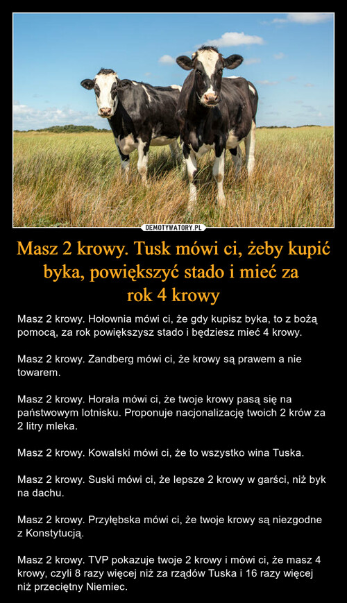 Masz 2 krowy. Tusk mówi ci, żeby kupić byka, powiększyć stado i mieć za 
rok 4 krowy