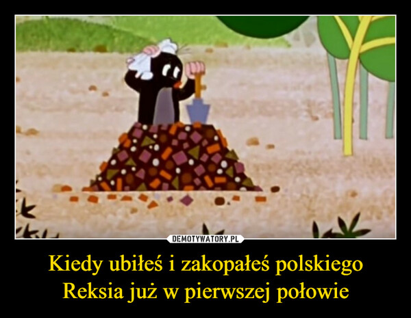Kiedy ubiłeś i zakopałeś polskiego Reksia już w pierwszej połowie –  kFISCV
