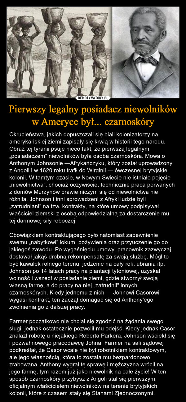 Pierwszy legalny posiadacz niewolników w Ameryce był... czarnoskóry – Okrucieństwa, jakich dopuszczali się biali kolonizatorzy na amerykańskiej ziemi zapisały się krwią w historii tego narodu. Obraz tej tyranii psuje nieco fakt, że pierwszą legalnym „posiadaczem" niewolników była osoba czarnoskóra. Mowa o Anthonym Johnsonie —Afrykańczyku, który został uprowadzony z Angoli i w 1620 roku trafił do Wirginii — ówczesnej brytyjskiej kolonii. W tamtym czasie, w Nowym Swiecie nie istniało pojęcie „niewolnictwa", chociaż oczywiście, technicznie praca porwanych z domów Murzynów prawie niczym się od niewolnictwa nie różniła. Johnson i inni sprowadzeni z Afryki ludzie byli „zatrudniani" na tzw. kontrakty, na które umowy podpisywał właściciel ziemski z osobą odpowiedzialną za dostarczenie mu tej darmowej siły roboczej. Obowiązkiem kontraktującego było natomiast zapewnienie swemu „nabytkowi" lokum, pożywienia oraz przyuczenie go do jakiegoś zawodu. Po wygaśnięciu umowy, pracownik zazwyczaj dostawał jakąś drobną rekompensatę za swoją służbę. Mógł to być kawałek rolnego terenu, jedzenie na cały rok, ubrania itp. Johnson po 14 latach pracy na plantacji tytoniowej, uzyskał wolność i wszedł w posiadanie ziemi, gdzie stworzył swoją własną farmę, a do pracy na niej „zatrudnił" innych czarnoskórych. Kiedy jednemu z nich — Johnowi Casorowi wygasi kontrakt, ten zaczął domagać się od Anthony'ego zwolnienia go z dalszej pracy. Farmer początkowo nie chciał się zgodzić na żądania swego sługi, jednak ostatecznie pozwolił mu odejść. Kiedy jednak Casor znalazł robotę u niejakiego Roberta Parkera, Johnson wściekł się i pozwał nowego pracodawcę Johna. Farmer na sali sądowej podkreślał, że Casor wcale nie był robotnikiem kontraktowym, ale jego własnością, która to została mu bezpardonowo zrabowana. Anthony wygrał tę sprawę i mężczyzna wrócił na jego farmę, tym razem już jako niewolnik na całe życie! W ten sposób czarnoskóry przybysz z Angoli stał się pierwszym, oficjalnym właścicielem niewolników na terenie brytyjskich kolonii, które z czasem stały się Stanami Zjednoczonymi. 