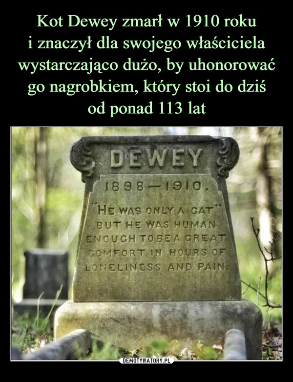  –  DEWEY1898-1910HE WAS ONLY A CATBUT HE WAS HUMANENOUGH TO BEA GREATCOMFORT IN HOURS OFLONELINESS AND PAIN