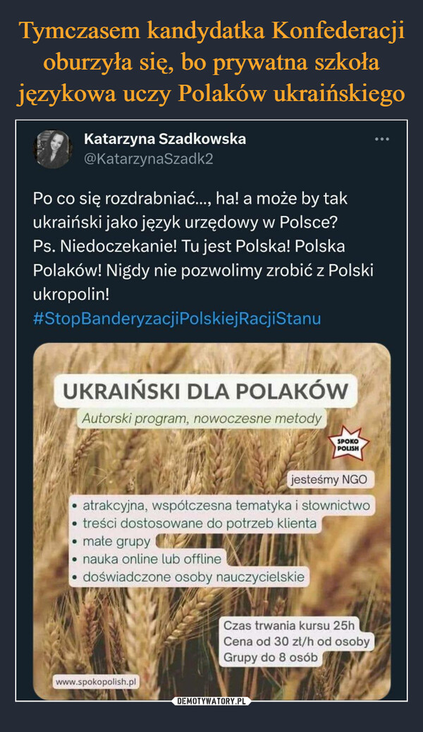 Tymczasem kandydatka Konfederacji oburzyła się, bo prywatna szkoła językowa uczy Polaków ukraińskiego