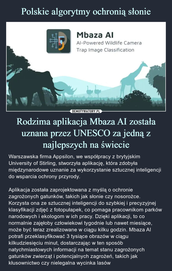 Rodzima aplikacja Mbaza AI została uznana przez UNESCO za jedną z najlepszych na świecie – Warszawska firma Appsilon, we współpracy z brytyjskim University of Stirling, stworzyła aplikację, która zdobyła międzynarodowe uznanie za wykorzystanie sztucznej inteligencji do wsparcia ochrony przyrody.Aplikacja została zaprojektowana z myślą o ochronie zagrożonych gatunków, takich jak słonie czy nosorożce. Korzysta ona ze sztucznej inteligencji do szybkiej i precyzyjnej klasyfikacji zdjęć z fotopułapek, co pomaga pracownikom parków narodowych i ekologom w ich pracy. Dzięki aplikacji, to co normalnie zajęłoby człowiekowi tygodnie lub nawet miesiące, może być teraz zrealizowane w ciągu kilku godzin. Mbaza AI potrafi przeklasyfikować 3 tysiące obrazów w ciągu kilkudziesięciu minut, dostarczając w ten sposób natychmiastowych informacji na temat stanu zagrożonych gatunków zwierząt i potencjalnych zagrożeń, takich jak kłusownictwo czy nielegalna wycinka lasów zijrMbaza AlAl-Powered Wildlife CameraTrap Image ClassificationWarszawska firma Appsilon, we współpracy z brytyjskim University of Stirling, stworzyła aplikację, która zdobyła międzynarodowe uznanie za wykorzystanie sztucznej inteligencji do wsparcia ochrony przyrody.