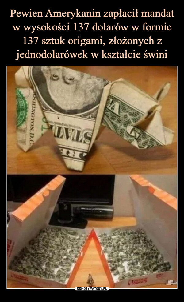 Pewien Amerykanin zapłacił mandat w wysokości 137 dolarów w formie 137 sztuk origami, złożonych z jednodolarówek w kształcie świni