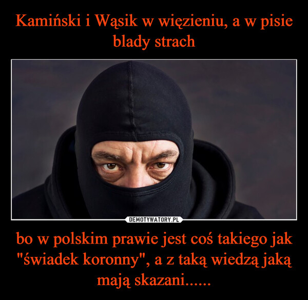Kamiński i Wąsik w więzieniu, a w pisie blady strach bo w polskim prawie jest coś takiego jak "świadek koronny", a z taką wiedzą jaką mają skazani......