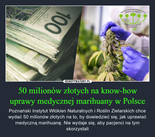 50 milionów złotych na know-how uprawy medycznej marihuany w Polsce – Poznański Instytut Włókien Naturalnych i Roślin Zielarskich chce wydać 50 milionów złotych na to, by dowiedzieć się, jak uprawiać medyczną marihuanę. Nie wydaje się, aby pacjenci na tym skorzystali 000HOLLO OL100INSTYTUT WŁOKIEN NATURALNYCHROŚLIN ZIELARSKICHPAŃSTWOWY INSTYTUTBADAWCZY
