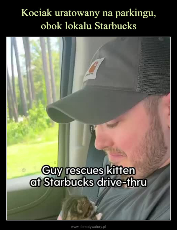  –  Guy rescues kittenat Starbucks drive-thru