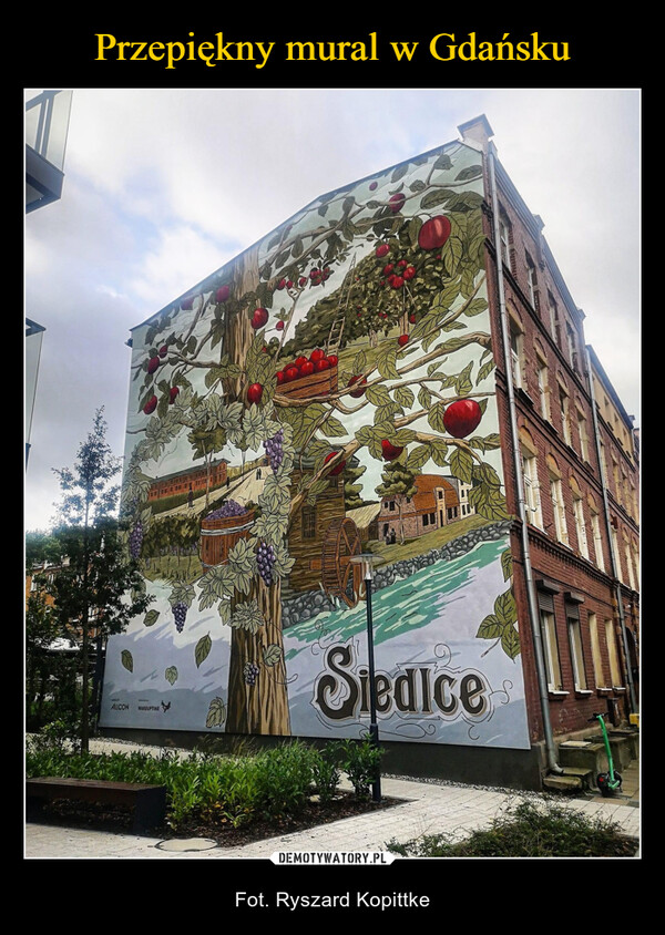 Przepiękny mural w Gdańsku