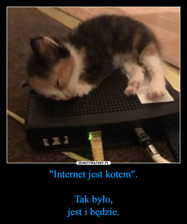 "Internet jest kotem".Tak było,jest i będzie. –  11]