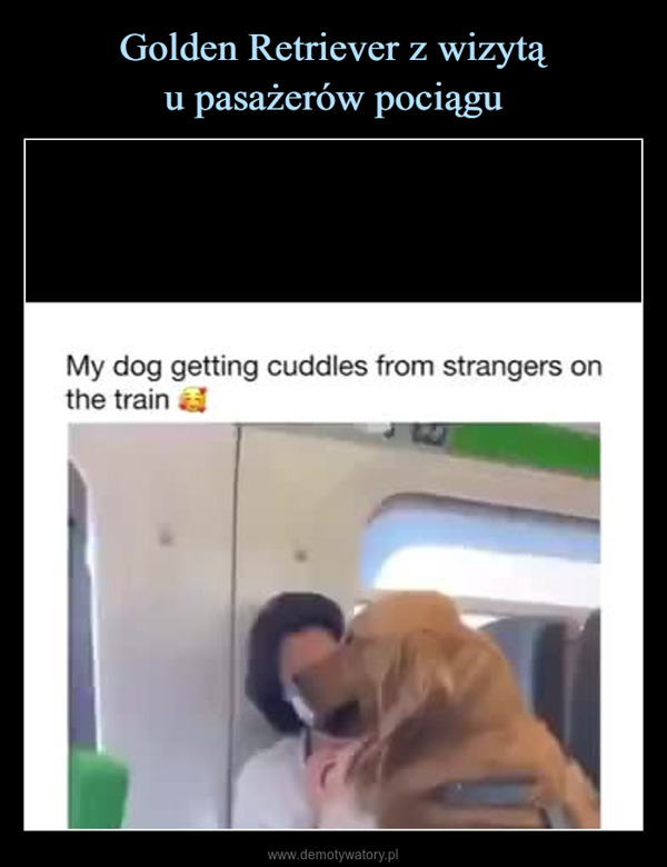  –  My dog getting cuddles from strangers onthe train