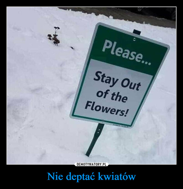 Nie deptać kwiatów –  Please...Stay Outof theFlowers!
