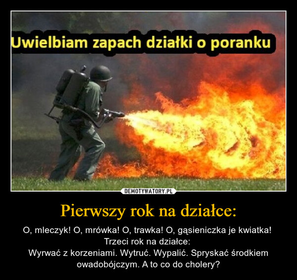Pierwszy rok na działce: – O, mleczyk! O, mrówka! O, trawka! O, gąsieniczka je kwiatka! Trzeci rok na działce: Wyrwać z korzeniami. Wytruć. Wypalić. Spryskać środkiem owadobójczym. A to co do cholery? Uwielbiam zapach działki o poranku