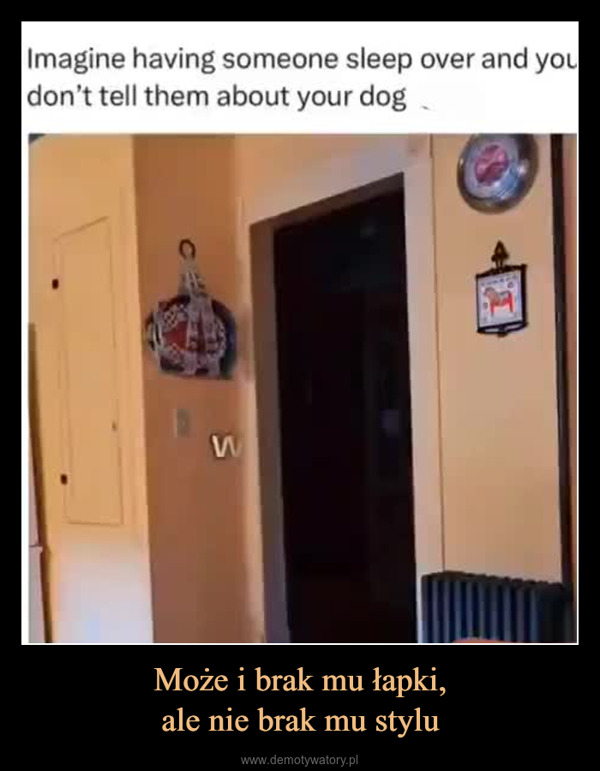 Może i brak mu łapki,ale nie brak mu stylu –  Imagine having someone sleep over and youdon't tell them about your dogWA