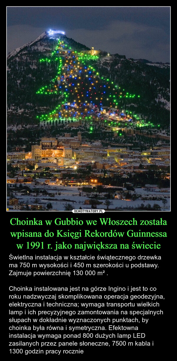 Choinka w Gubbio we Włoszech została wpisana do Księgi Rekordów Guinnessa w 1991 r. jako największa na świecie – Świetlna instalacja w kształcie świątecznego drzewka ma 750 m wysokości i 450 m szerokości u podstawy. Zajmuje powierzchnię 130 000 m² .Choinka instalowana jest na górze Ingino i jest to co roku nadzwyczaj skomplikowana operacja geodezyjna, elektryczna i techniczna; wymaga transportu wielkich lamp i ich precyzyjnego zamontowania na specjalnych słupach w dokładnie wyznaczonych punktach, by choinka była równa i symetryczna. Efektowna instalacja wymaga ponad 800 dużych lamp LED zasilanych przez panele słoneczne, 7500 m kabla i 1300 godzin pracy rocznie 
