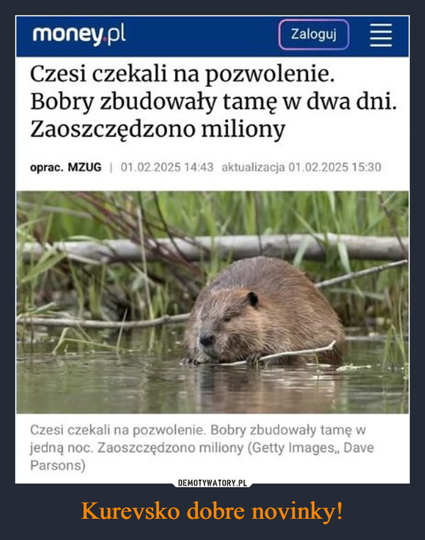 Kurevsko dobre novinky! –  money.plZalogujCzesi czekali na pozwolenie.Bobry zbudowały tamę w dwa dni.Zaoszczędzono milionyoprac. MZUG | 01.02.2025 14:43 aktualizacja 01.02.2025 15:30Czesi czekali na pozwolenie. Bobry zbudowały tamę wjedną noc. Zaoszczędzono miliony ( Images,, DaveParsons)