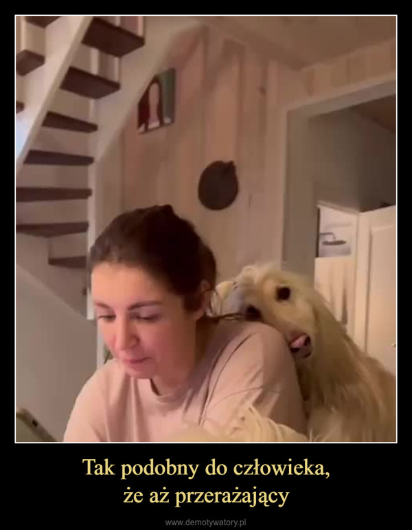 Tak podobny do człowieka,że aż przerażający –  