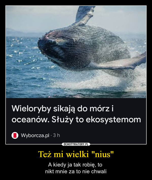 Też mi wielki "nius" – A kiedy ja tak robię, to nikt mnie za to nie chwali Wieloryby sikają do mórz ioceanów. Służy to ekosystemomWyborcza.pl - 3h